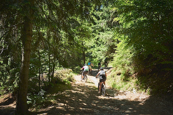 Mountainbike-Trail von der Linea Cadorna