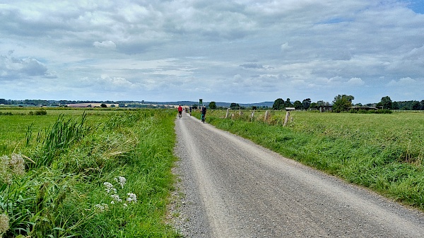 Radweg durch den Naturpark Steinhuder Meer