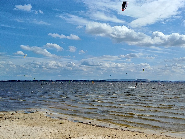 Kite- und Windsurfen am Steinhuder Meer