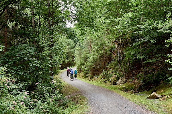 Waldabschnitt der Radtour um den Millstätter See