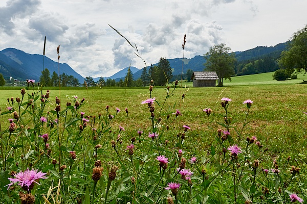 Idylle am Weissensse