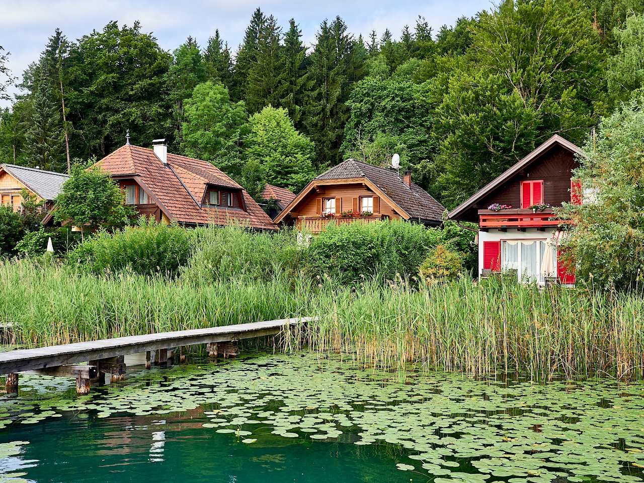 Natur am Klopeiner See