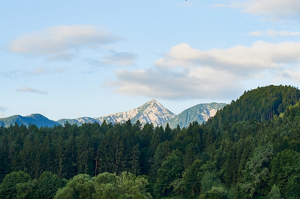 Natur genießen am Klopeiner See