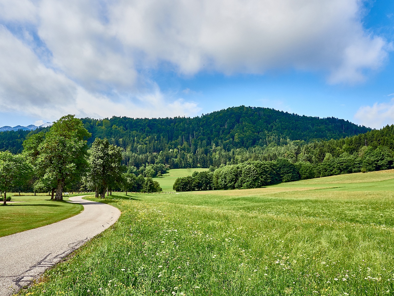 Radfahren am Wörthersee