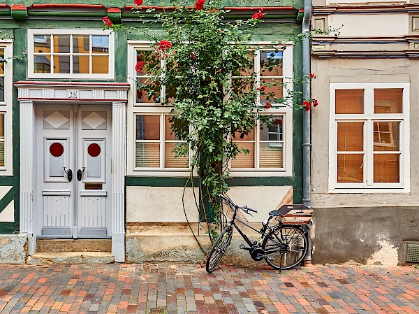 Rosen im Fachwerkviertel in Hildesheim