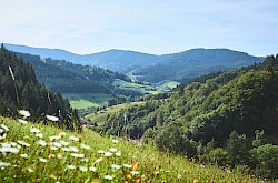 2019-09-14-bad-peterstal-griesbach-schwarzwaldsteig-dsc02728_1.jpg