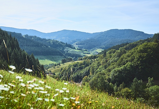 2019-09-14-bad-peterstal-griesbach-schwarzwaldsteig-dsc02728_1.jpg