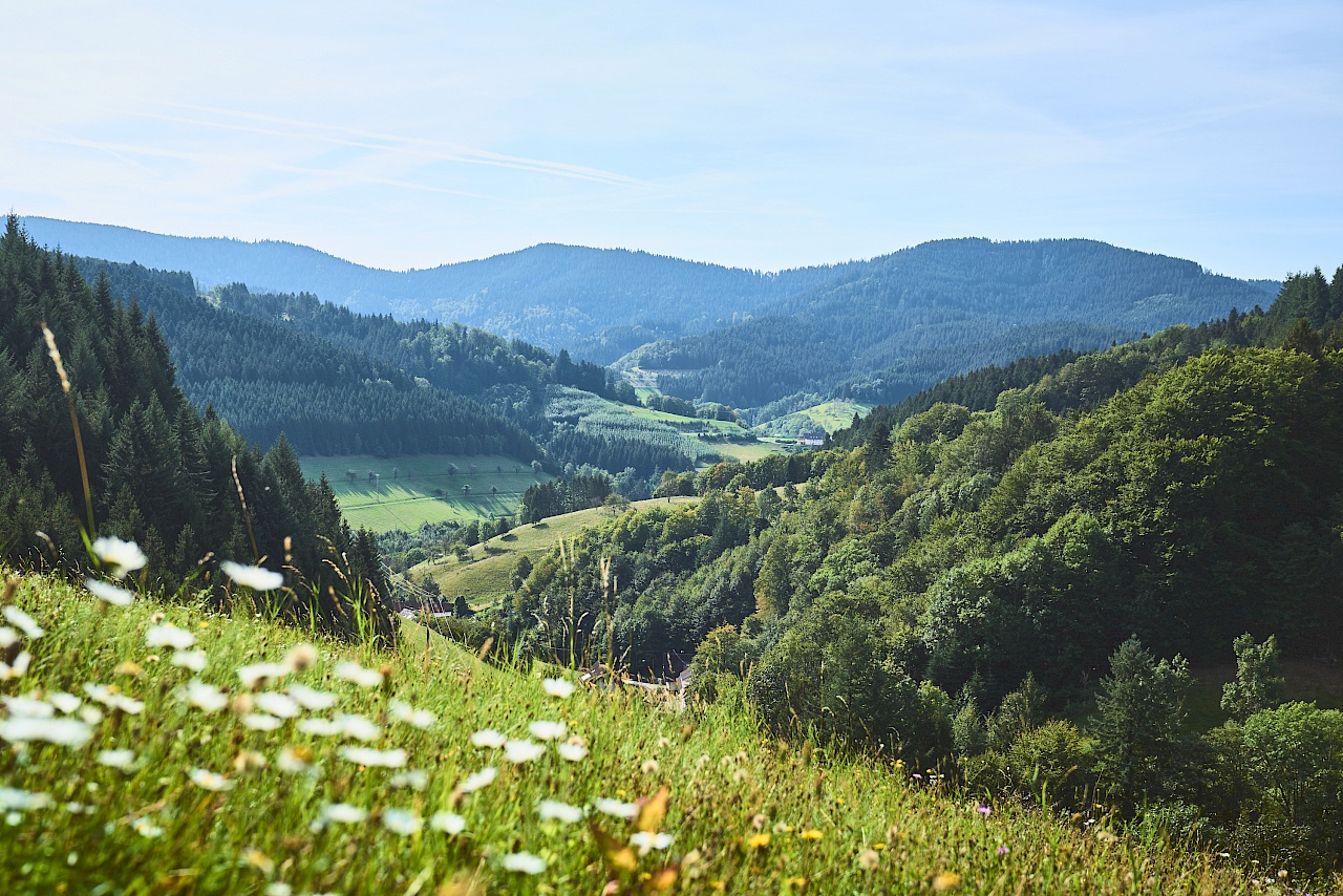 Bad Peterstal Griesbach - Schwarzwaldsteig