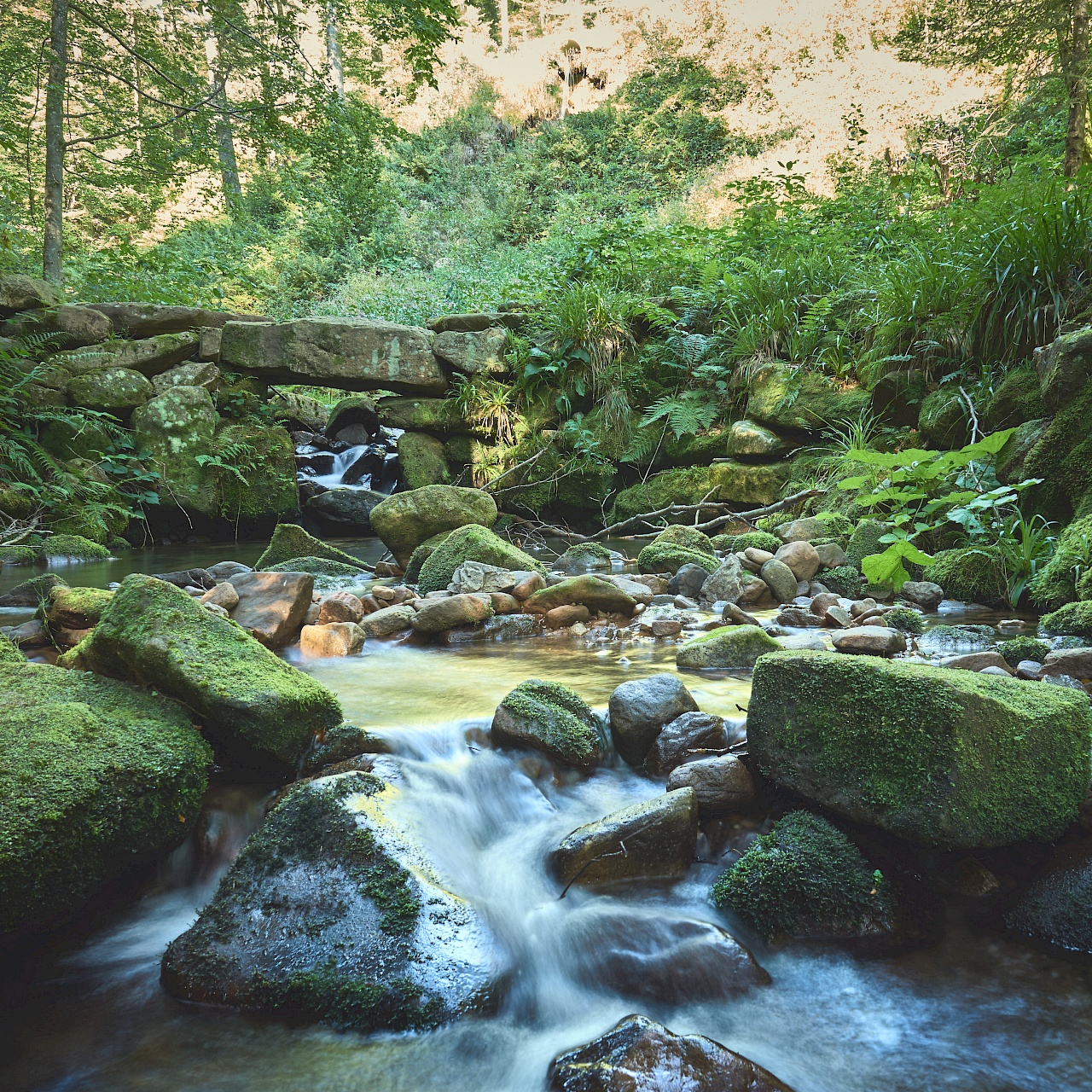 Bad Peterstal Griesbach - Wiesensteig