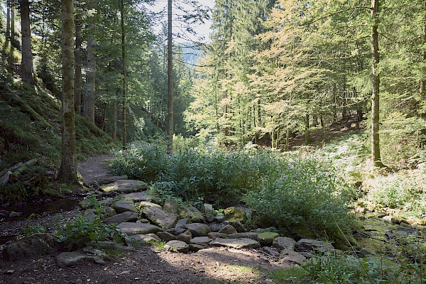 Bad Peterstal Griesbach - Wiesensteig