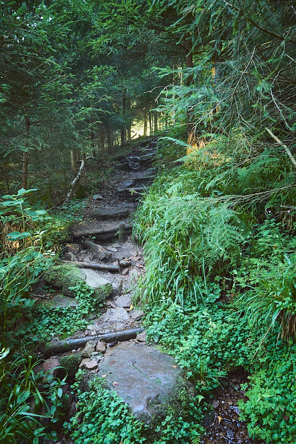 Bad Peterstal Griesbach - Wiesensteig