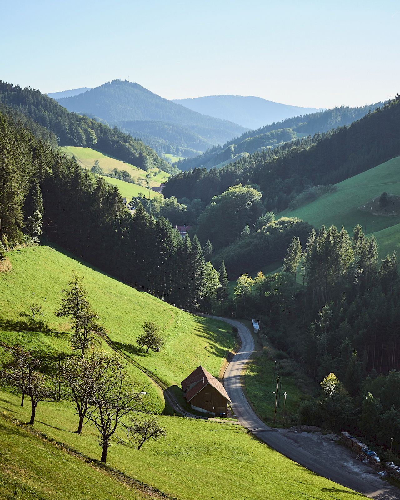 Bad Peterstal Griesbach - Wiesensteig