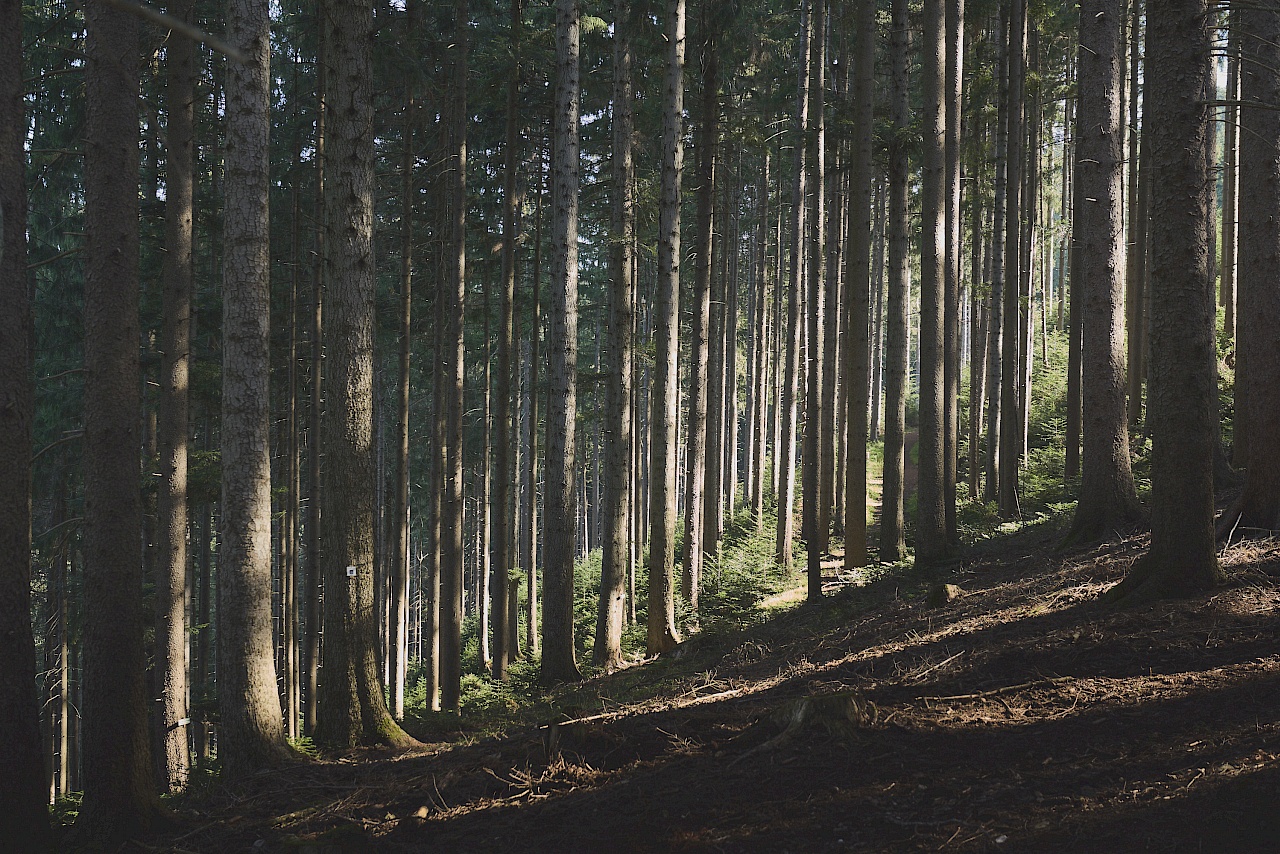 Bad Peterstal Griesbach - Himmelssteig