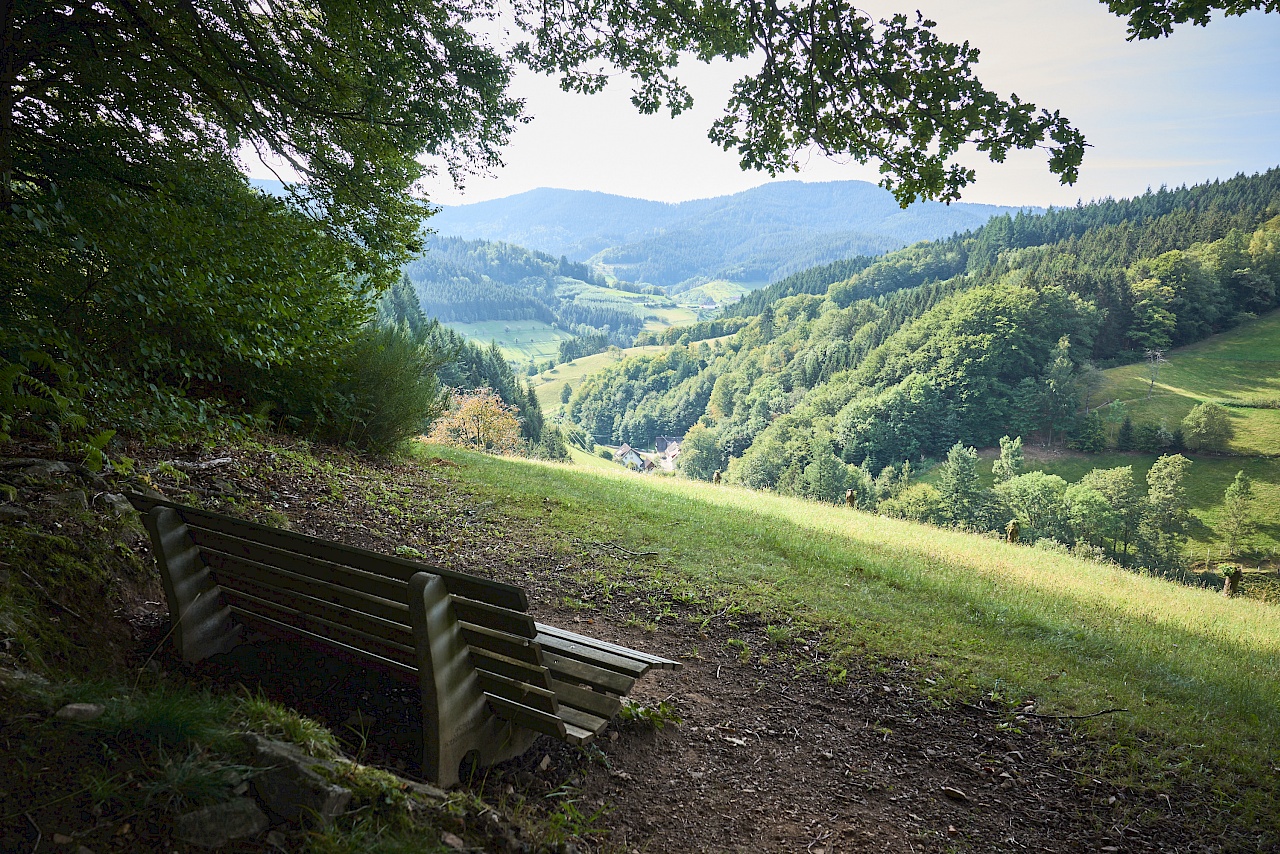 Bad Peterstal Griesbach - Schwarzwaldsteig