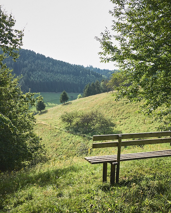 Bad Peterstal Griesbach - Schwarzwaldsteig