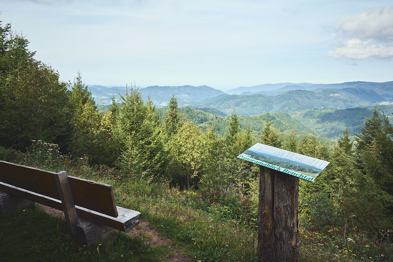 Bad Peterstal Griesbach - Schwarzwaldsteig - Rechntalblick