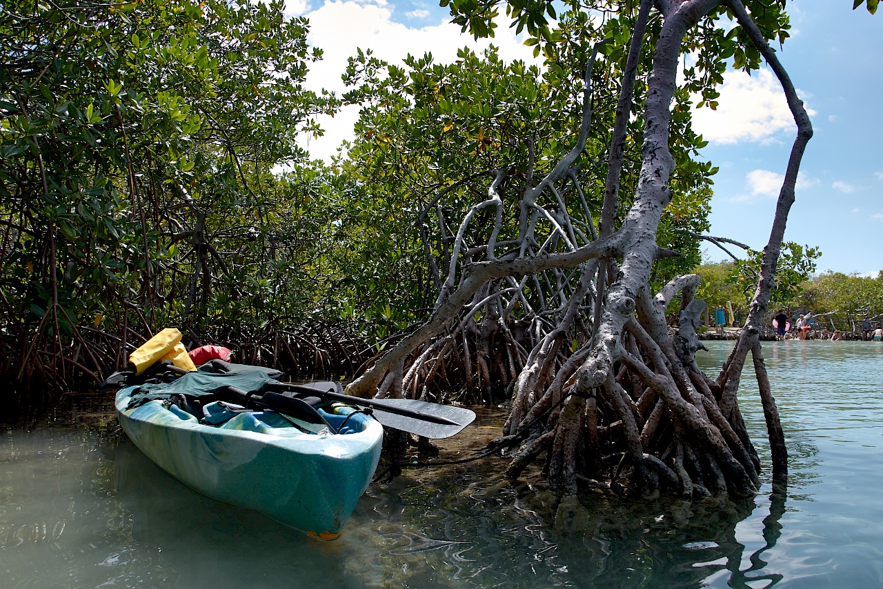 Kajak fahren auf Gilligan's Island