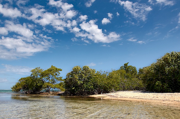 Strand auf Gilligan's Island