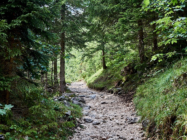 Stille Wälder im Reintal