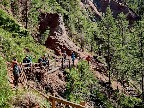 Weg nach unten in die Bletterbachschlucht