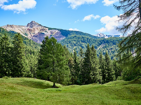 Wunderschöne Aussichten auf dem Weg