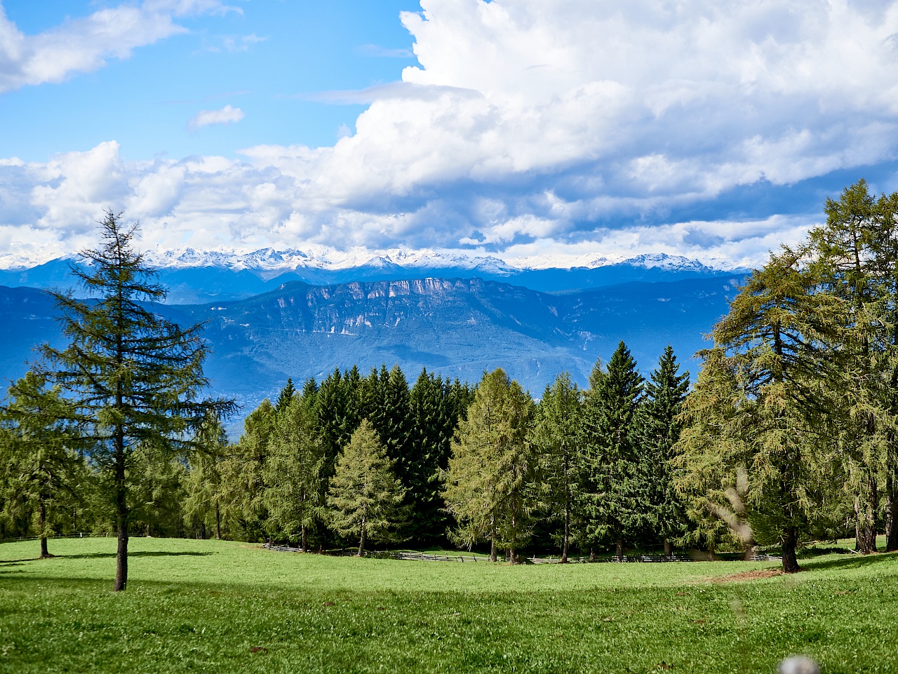 Blick im Eggental