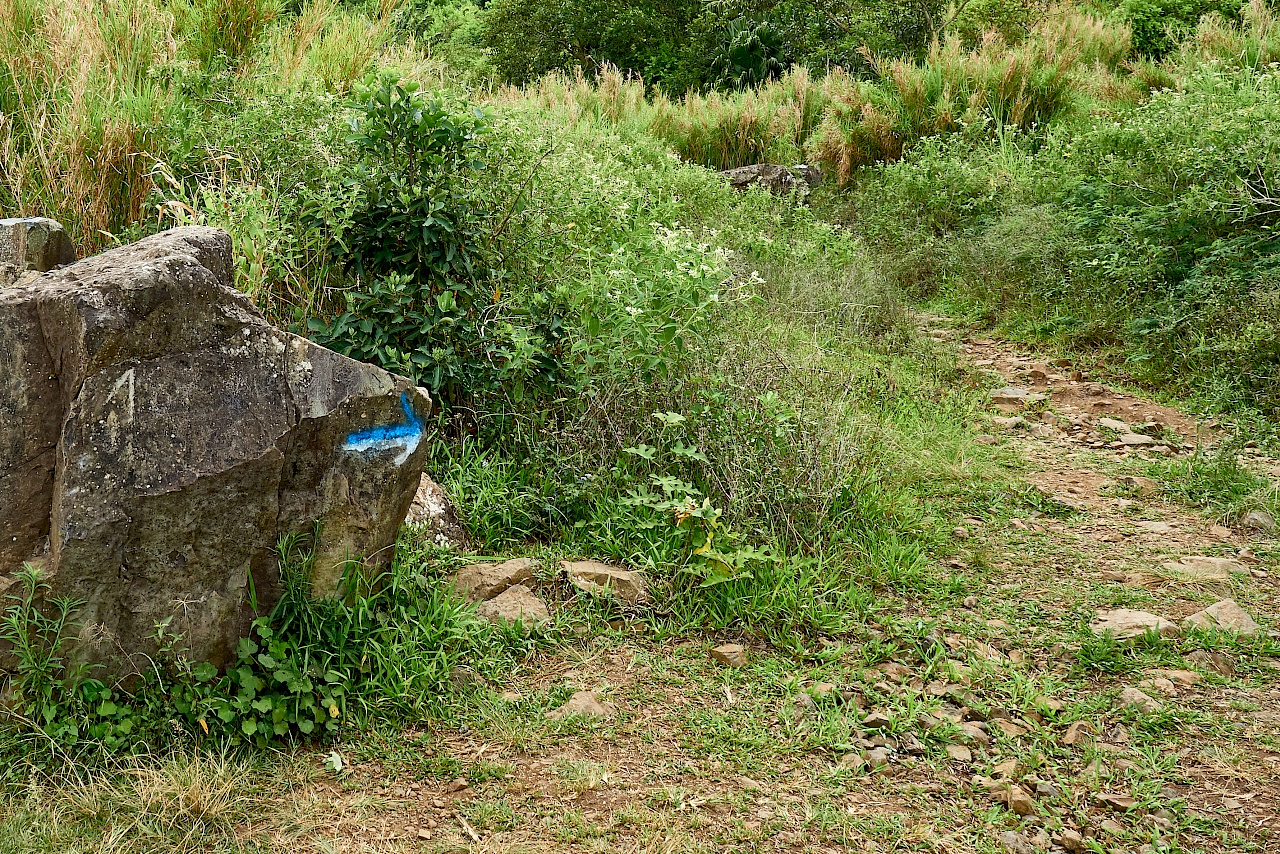 Blau-weiße Wandermarkierungen