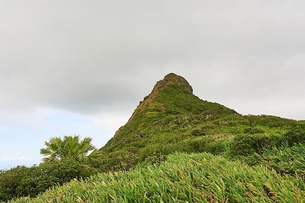 Der Gipfel des Le Pouce