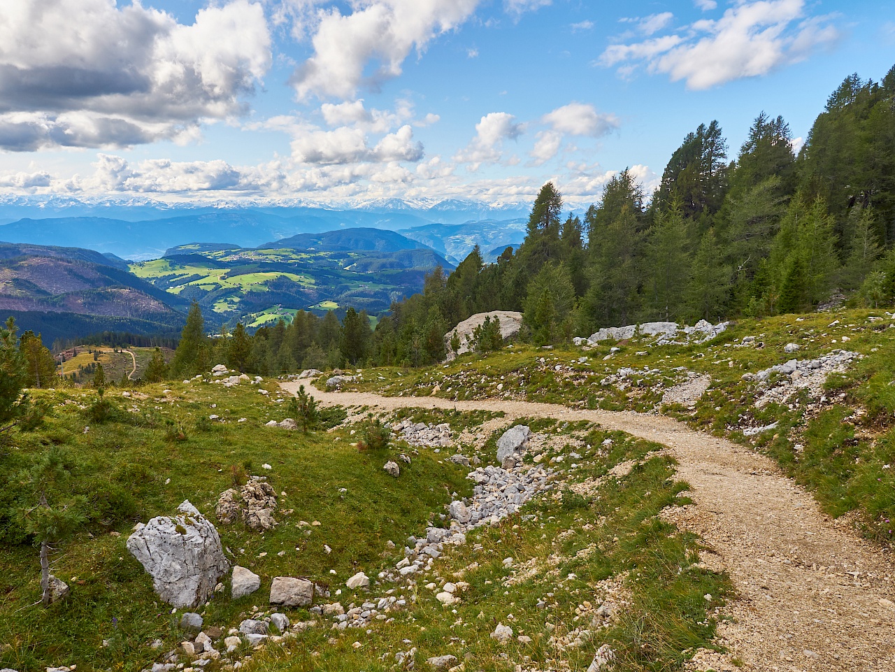 Wandern mit Aussicht im Latemarium im Eggental