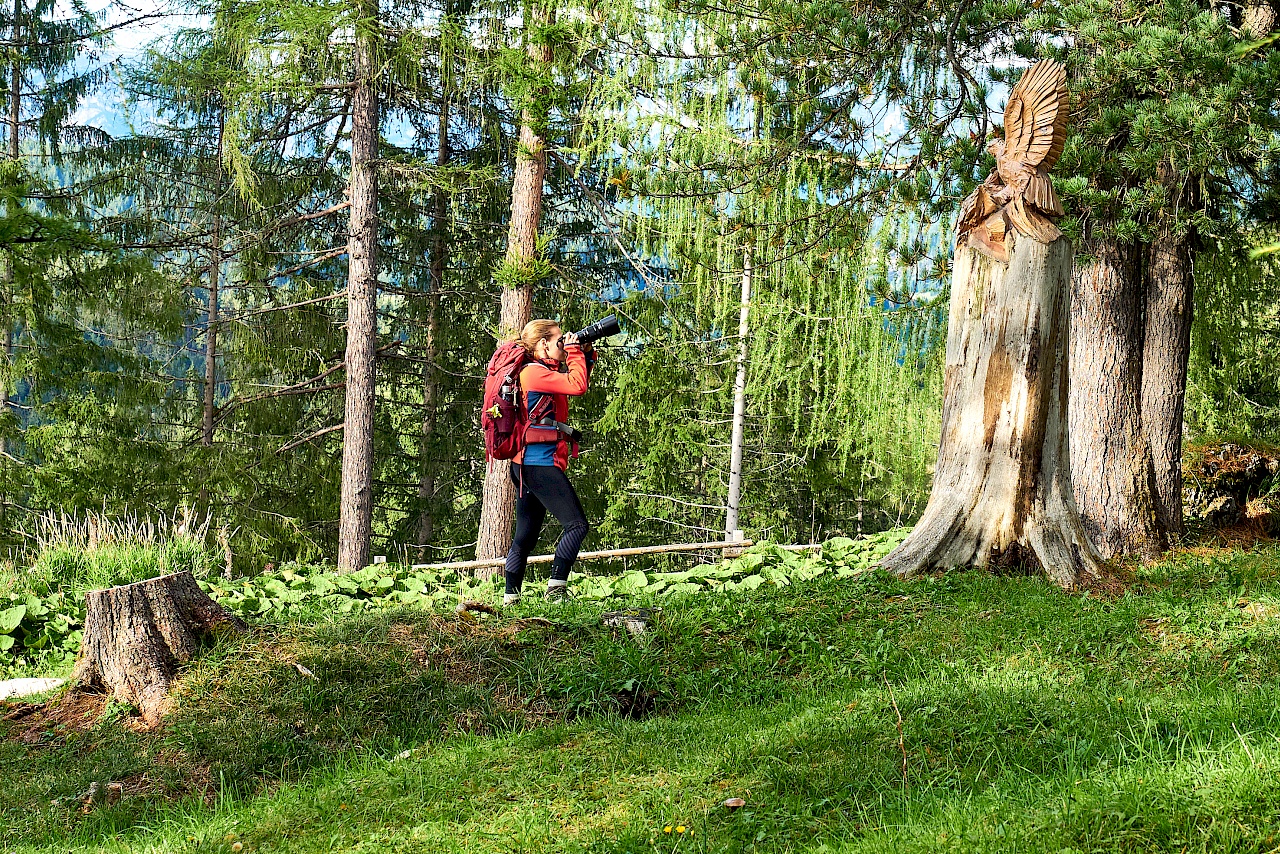 Im Holzskulpturenpark in Obereggen