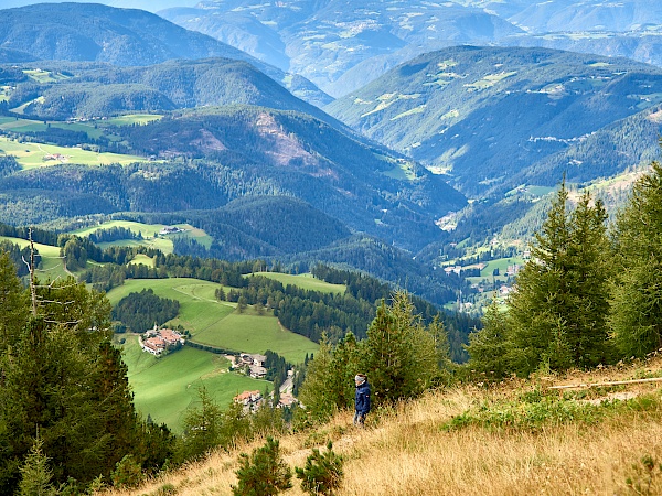 Wandern im Latemarium im Eggental