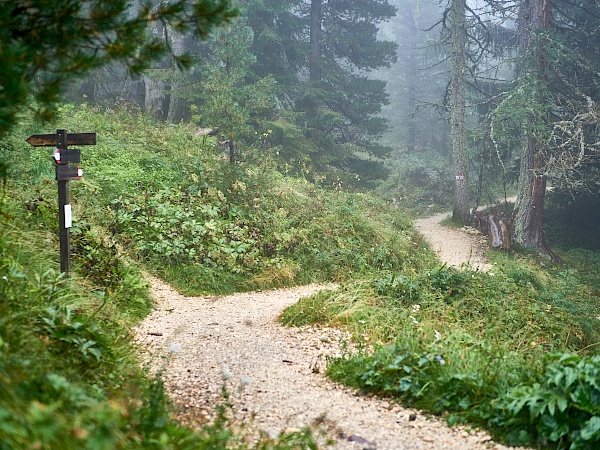 Start des Wanderwegs direkt nach dem Lift