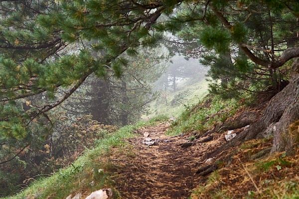 Wandern in nebliger Atmosphäre