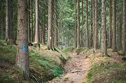 2019-09-18-wanderung-grenze-dsc02846.jpg