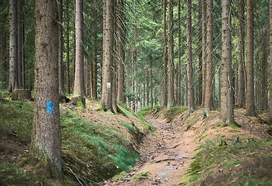 2019-09-18-wanderung-grenze-dsc02846.jpg