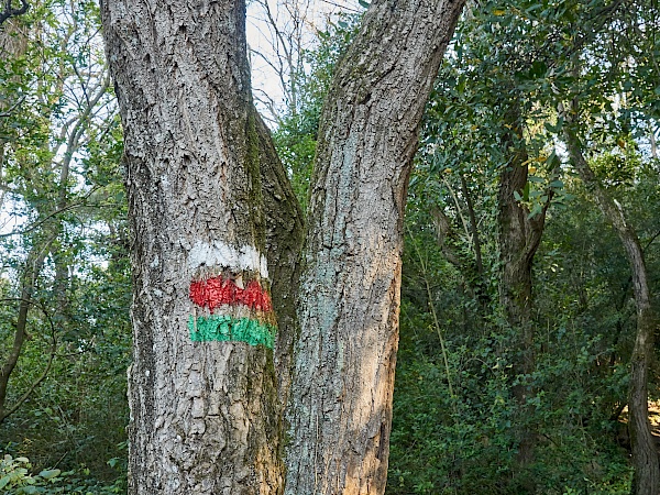 Farbmarkierungen auf dem Wanderweg nach Pasaia