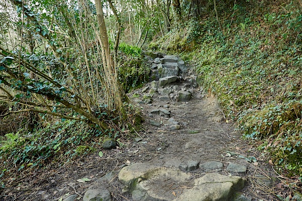 Über Stock und Stein wandern