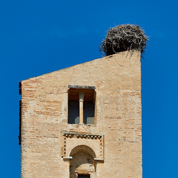 Storchennest auf einem Turm in Pedraza