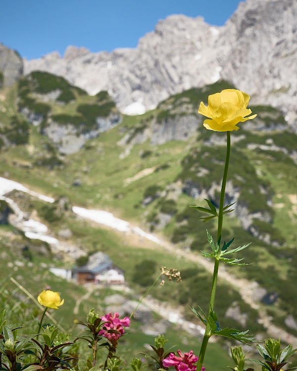 Drischlsteig Hoch-Imst