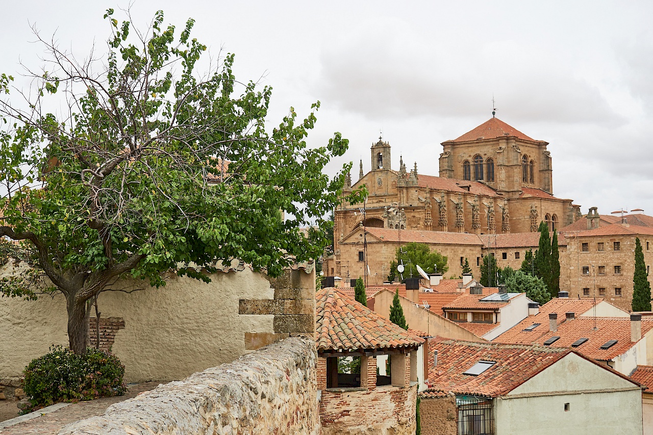 Ein Garten mit Ausblick – Huerto de Calixto y Melibea in Salamanca