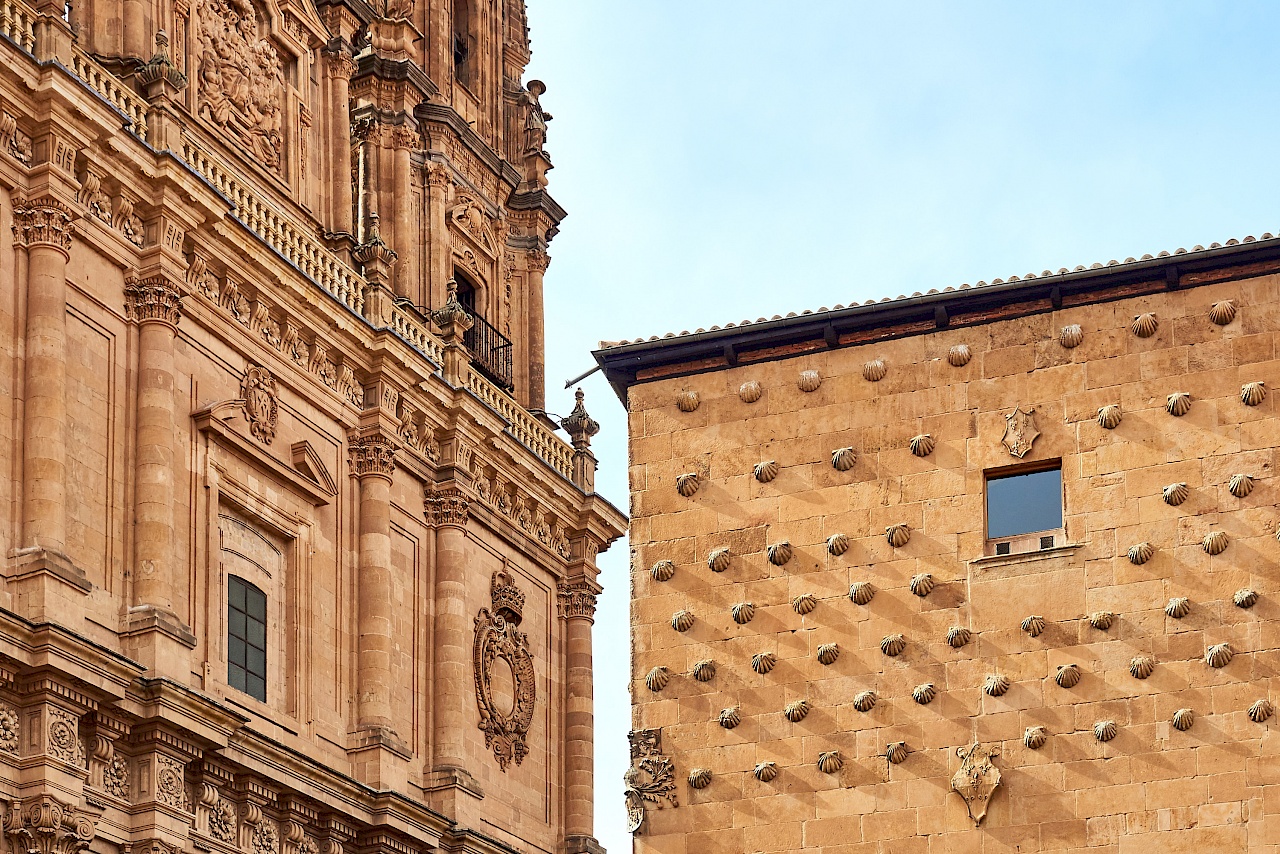 Das Haus der Muscheln - Casa de las Conchas in Salamanca