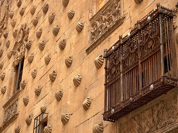 Das Haus der Muscheln - Casa de las Conchas in Salamanca