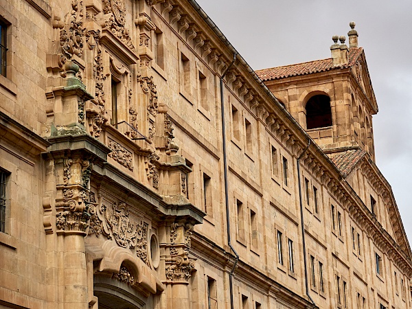 Das Haus der Muscheln - Casa de las Conchas in Salamanca