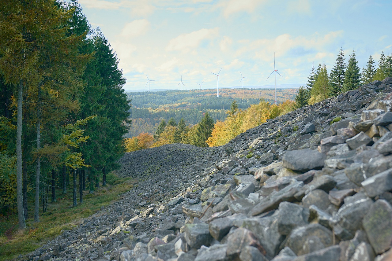 Ringwall Otzenhausen Saarland