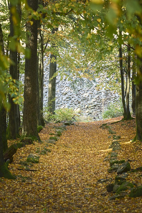 Überreste der Wege zum Ringwall Otzenhausen