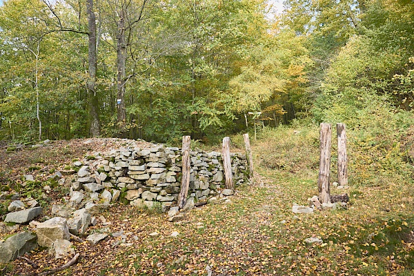 Überreste eines keltischen Tors zum Ringwall Otzenhausen