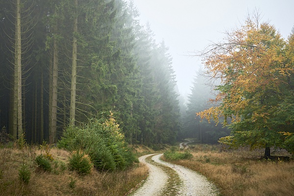 Saar-Hunsrück Steig Etappe 10 Saarland