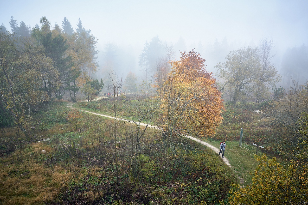 Saar-Hunsrück-Steig Etappe 10 Saarland Erbeskopf