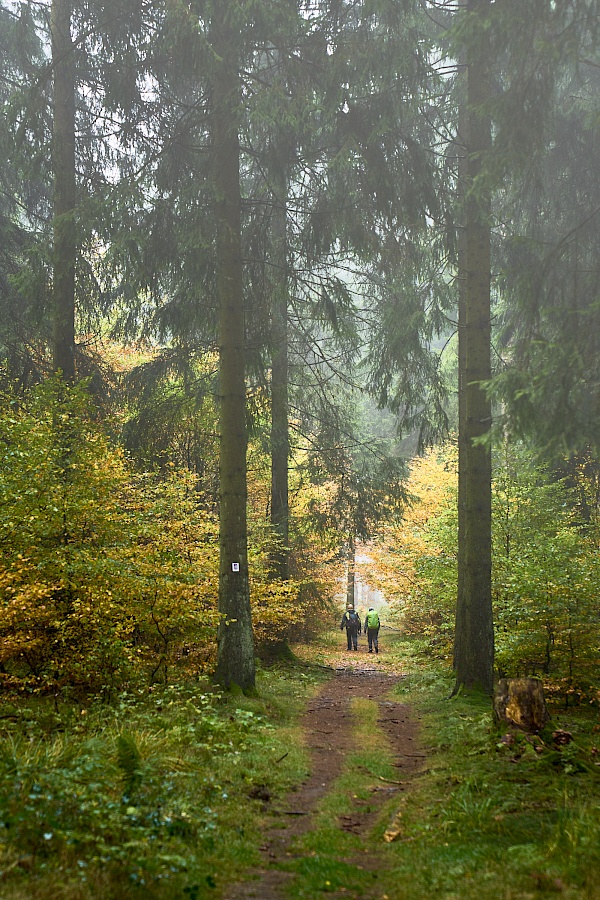 Saar-Hunsrück Steig Etappe 10 Saarland