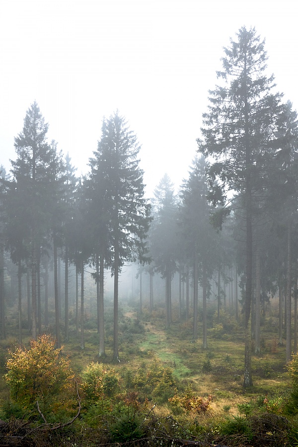 Saar-Hunsrück Steig Etappe 10 Saarland